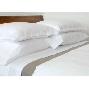  Area Day White King Fitted Sheet