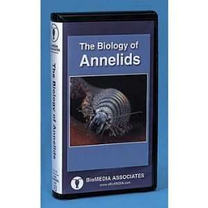 Biology of Annelids DVD  Industrial & Scientific