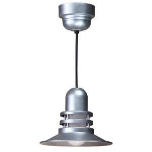  ANP Lighting ORB12 FR 49 RBHC 32WPL 49 Galvanized Orbitor 