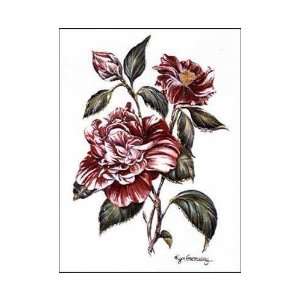  Winter Camellia (Ap) Poster Print