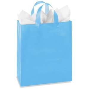  10 x 5 x 13 Blue Debbie Frosty Shoppers