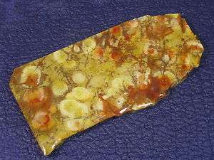 Birdseye Rhyolite (Chihuahua Mexico) one slab. #1013 1104  