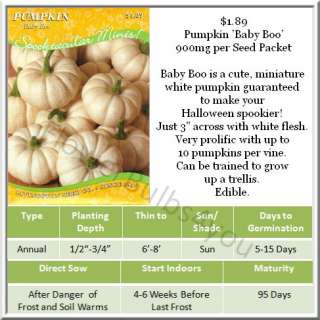 Pumpkin Seeds Different Varieties You Choose  