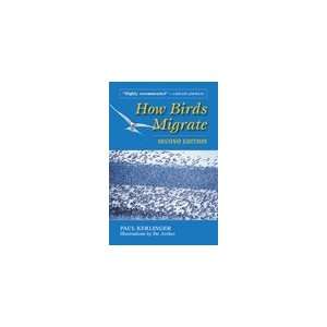  How Birds Migrate Book Toys & Games