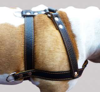 Black 27 32 size Pulling Leather Dog Harness 1 wide Large Pitbull 