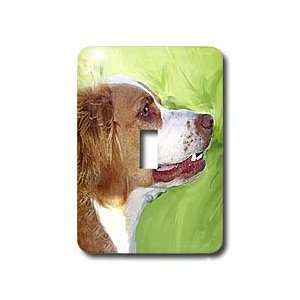  Dogs Brittany   Brittany Portrait   Light Switch Covers 