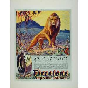   Supreme Balloon Tire Lion Savanna   Original Print Ad