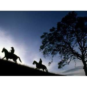  Silhouette of a Man and Woman Riding their Horses Up a 