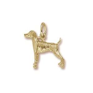    Rembrandt Charms Weimaraner Charm, Gold Plated Silver Jewelry