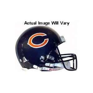  Chicago Bears 2006 Team Signed Bears Super Bowl XLI 