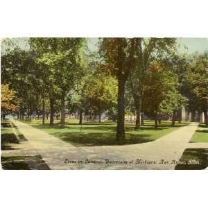   Postcard Scene on Campus   University of Michigan   Ann Arbor Michigan