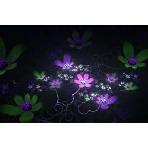  RADIANT FLOWERS LIMITED PRICE SALE DISCOUNT 25% STUNNING 
