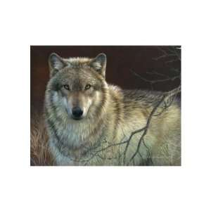  Joni Johnson godsy   Uninterrupted Stare   Gray Wolf