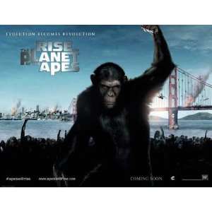  Rise of the Planet of the Apes Poster Movie 11 x 17 Inches 