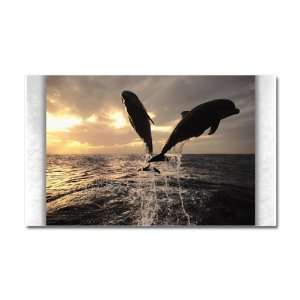  Car Magnet 20 x 12 Dolphins Flying in Sunset Everything 