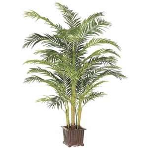  8 Premium Areca Palm
