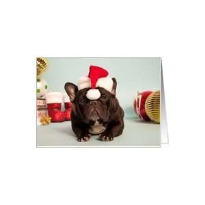 French Bulldog wearing Santa Hat Christmas Card Card