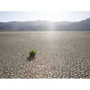  Dried Earth, Racetrack Point, Death Valley National Park, California 