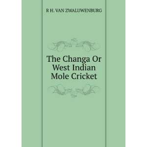   The Changa Or West Indian Mole Cricket R H. VAN ZWALUWENBURG Books