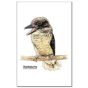 Kookaburra Australian Bird Animals Mini Poster Print by 