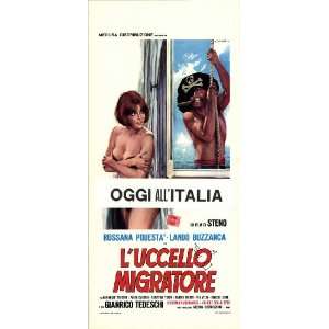  Uccello migratore, L Framed Poster Movie Italian 13 x 28 