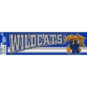  University Of Kentucky Sticker Bumper Stripe 24 Pa Case 