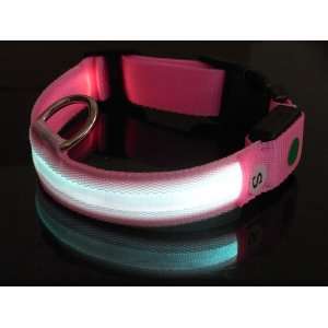  QUAD G TECH PINK Dog / Pet Leash with LED Light (in GREEN 