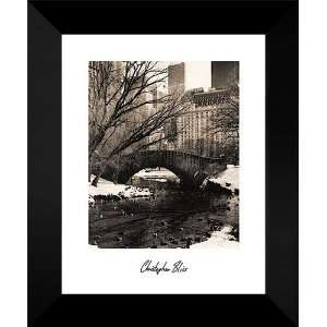  Chris Bliss FRAMED Art 15x18 Central Park Bridges IV 