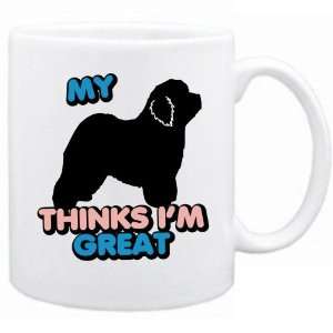  New  My Old English Sheepdogs Thinks I Am Great  Mug Dog 