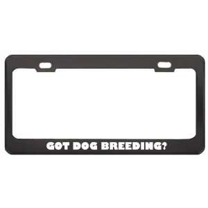 Got Dog Breeding? Hobby Hobbies Black Metal License Plate Frame Holder 
