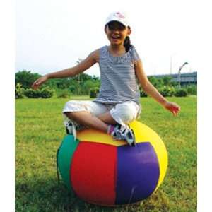  Heavy Duty Balance Ball by American Educational Products 