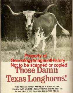 Those Damn Texas Longhorns   Cattle History + Family, Barns, Dobie 