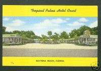 Old Postcard Daytona Beach Florida Tropical Palms Hotel  