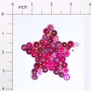   4in Star Bead and Sequin Applique fsm Each Arts, Crafts & Sewing