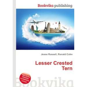  Lesser Crested Tern Ronald Cohn Jesse Russell Books