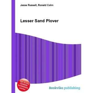  Lesser Sand Plover Ronald Cohn Jesse Russell Books