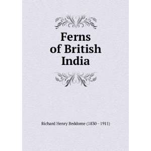    Ferns of British India Richard Henry Beddome (1830   1911) Books
