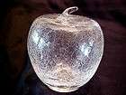  Clear CRACKLE Art GLASS Decorative FRUIT Paperweight APPLE w/ Stem