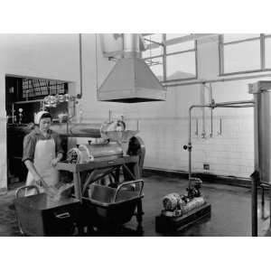  Ground Meat for the Mixture at the Lombardi Factory in 