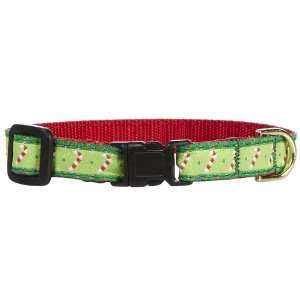  Up Country Candy Cane Cat Collar   Size 12