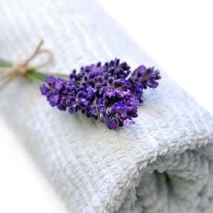  Vanilla Lavender home fragrance oil 15ml Health 