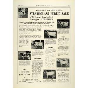  1929 Ad Strathglass Public Sale Bred Ayrshires Cattle Farm 