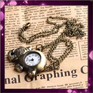   big pictographic Menss Women Pocket Watch rare Gift newW0405 Beauty