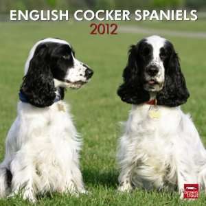  English Cocker Spaniels (International) 2012 Wall Calendar 