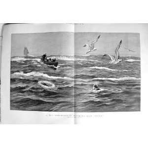    1892 Scene Overboard Southern Seas Rescue Boat Ship