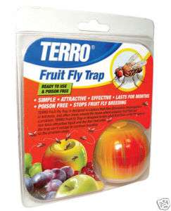 Fruit Fly Trap by terro lures fruit fly decorative look  