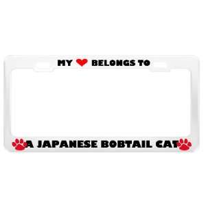  A Japanese Bobtail Cat Pet White Metal License Plate Frame 