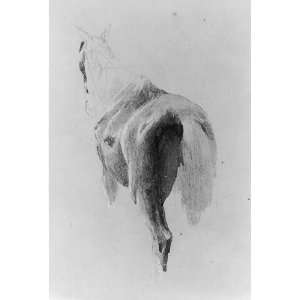 Pencil sketch by Emanuel Leutze (rear view of horse),drawing,1840 