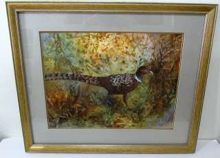 Gorgeous Matted Watercolor Painting Of Pheasant Bird Signed  