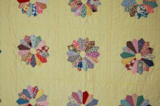 This BEAUTIFUL cotton 30s dresden plate quilt is hand pieced, hand 